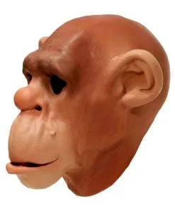 Schimpansen Schaumlatex Maske -Halloween Kostüme Herren Verkäufe schimpansen schaumlatex maske affenmaske tiermasken bild4 15361